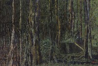 Selva ojo de agua